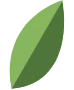 large-leaf