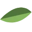 medium-leaf
